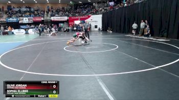 107G Cons. Round 1 - Olive Jordan, Seward High School vs Sophia Ellibee, Colony High School