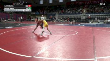 141 lbs Round Of 16 - Gavin Suica, Edinboro vs Chase Liardi, Hofstra