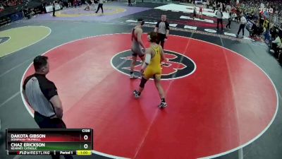 5th Place Match - Chaz Erickson, Kearney Catholic vs Dakota Gibson, Doniphan-Trumbull