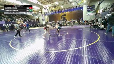 138 lbs Champ. Round 1 - Cameron Beall, Hamilton vs Connor Johnson, Lake City