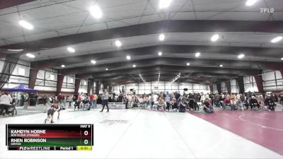 61 lbs Cons. Round 5 - Kamdyn Horne, Box Elder Stingers vs Rhen Robinson, Uintah