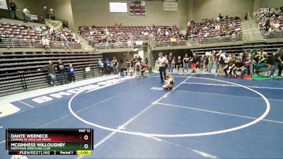 67 lbs Quarterfinal - McGinness Willoughby, Northside Wrestling Club vs Dante Werneck, Legends Of Gold Las Vegas