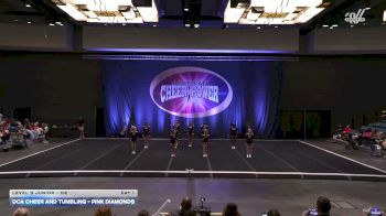 DCA Cheer and Tumbling - Pink Diamonds [2026 L3 Junior - D2 Day 1] 2026 Cheer Power Showdown
