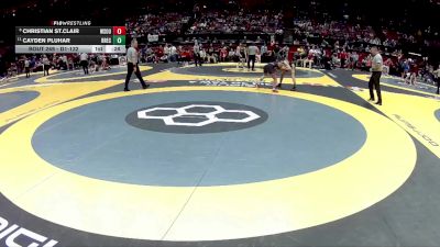 D1-132 lbs Cons. Round 3 - Cayden Pluhar, Brecksville vs Christian St.Clair, Wester. South