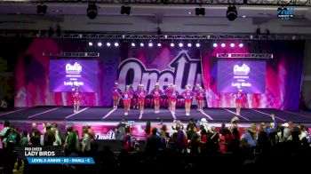 Pro Cheer - Lady Birds [2025 L3 Junior - D2 - Small - C Day 3] 2025 One Up Grand Nationals