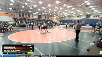 285 lbs Champ. Round 2 - Thomas Blackwell, John Carroll University vs Cole Fibranz, University Of Chicago