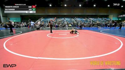 55 lbs 3rd Place - Traesyn Anglin, Hawks WC Lincoln vs Kai Parker, Alpha Elite