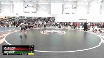 87 lbs Cons. Round 3 - Collin Yorke, Gorilla Grapplers vs Layne Foster, Proper-ly Trained