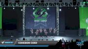 Cohesion Coed [2022 Junior - Hip Hop - Small Day 3] 2022 CSG Schaumburg Dance Grand Nationals