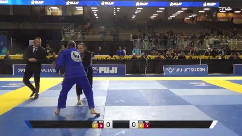 Kristina Kay Banister vs Cassandra Jo Whitson 2025 Pan Jiu Jitsu IBJJF Championship
