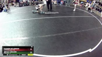 95 lbs Round 2 (6 Team) - Tucker McLennan, Minnesota Gold vs Bryce Carlson, Team USA