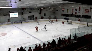 Replay: Home - 2025 SW Wildcats U18 vs ND Hounds U18 (G) | Jan 19 @ 3 PM