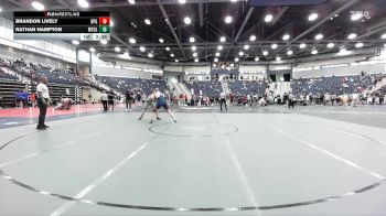 197 lbs Cons. Round 2 - Nathan Hampton, Mt. Olive vs Brandon Lively, Brewton-Parker (GA)