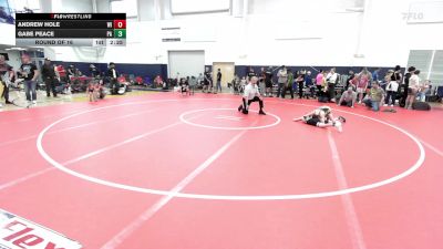 J-75 lbs Round Of 16 - Andrew Hole, WI vs Gabe Peace, PA