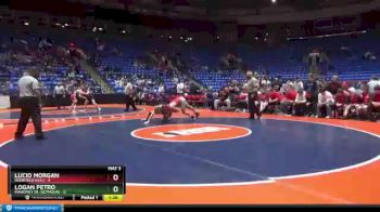 145 lbs Semis & 1st Wrestleback (8 Team) - Logan Petro, Mahomet (M.-Seymour) vs Lucio Morgan, Deerfield (H.S.)