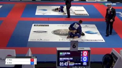 Felipe Pena vs Donghwa Choi J 2018 Abu Dhabi World Professional Jiu-Jitsu Championship