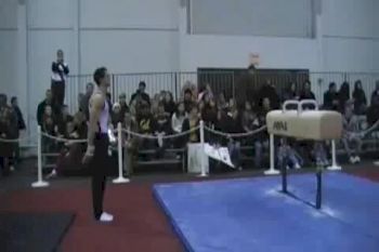 Pommel Horse- Bryant Hadden