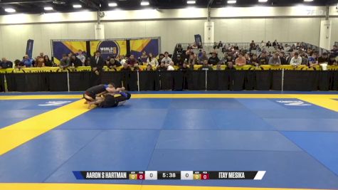 Aaron S Hartman vs Itay Mesika 2024 World IBJJF Jiu-Jitsu No-Gi Championship