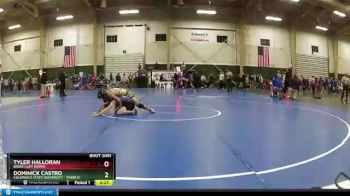 125 lbs Champ. Round 1 - Tyler Halloran, Briar Cliff (Iowa) vs Dominick Castro, Colorado State University - Pueblo