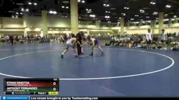132 lbs Placement (16 Team) - Ethan Dinottia, Greenwave Grapplers vs Anthony Fernandez, Eagle Empire Black