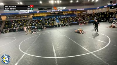 165 lbs Cons. Round 2 - Blest Woods, Iowa City, West vs Jace Houston, Albert Lea Area
