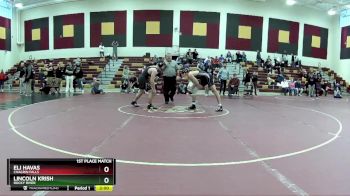 175 lbs 1st Place Match - Lincoln Krish, Rocky River vs Eli Havas, Chagrin Falls