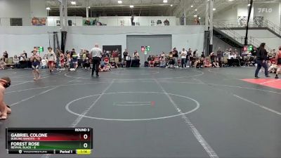 84 lbs Round 3 (6 Team) - Forest Rose, Revival Black vs Gabriel Colone, Dueling Bandits