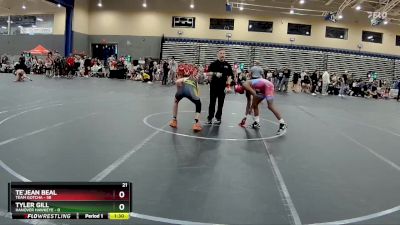 115 lbs Round 1 (4 Team) - Te`Jean Beal, Team Gotcha vs Tyler Gill, Hanover Hawkeye