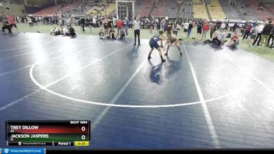 145 lbs Cons. Round 7 - Trey Dillow, KS vs Jackson Jaspers, IA