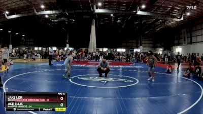 75 lbs Round 5 (6 Team) - Jake Lor, BELIEVE TO ACHIEVE WRESTLING CLUB vs Ace Ellis, HANOVER HAWKEYE