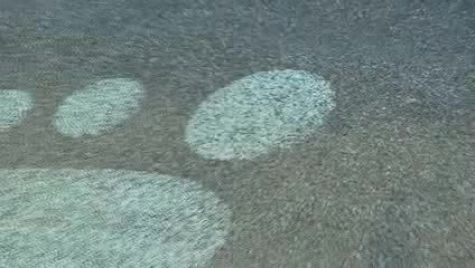 Episode #5 - Tarheel Blue