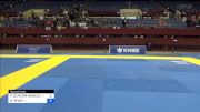 PIETRA OLIVEIRA MENEZES vs RAIN PFAFF 2024 Pan IBJJF Jiu-Jitsu No-Gi Championship