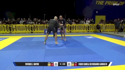Fabio Canela Do Rosario Landulfo vs Patrick J. Wayne 2025 Pan IBJJF Jiu-Jitsu No-Gi Championship