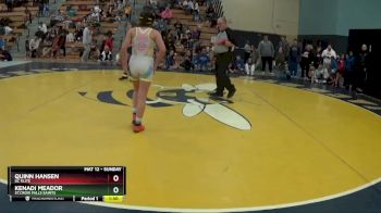 120 lbs Round 3 - Quinn Hansen, DC Elite vs Kenadi Meador, St.Croix Falls Saints