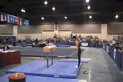 Pommel Horse- Stanford- Sho Nakamori