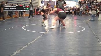 140 lbs Semifinal - Olivia Bezdicek, Jerome High School vs Cara Andrews, Star Valley High School
