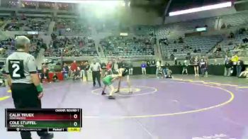 113 lbs Champ. Round 1 - Cole Stuffel, Yorktown. vs Calix Truex, NorthWood