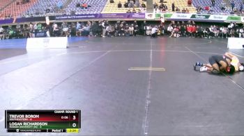 125 lbs Round 1 (16 Team) - Trevor Borom, Southeastern vs Logan Richardson, Marian University (IN)