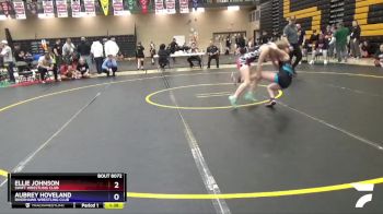 102 lbs Round 2 - Ellie Johnson, SWIFT Wrestling Club vs Aubrey Hoveland, Riverhawk Wrestling Club