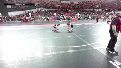 95 lbs Semifinal - Farrah Rathje, Wisconsin vs Payton Peterson, Freedom Girls Wrestling