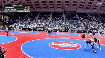 4A-113 lbs Quarterfinal - Chase Rust, Harris County vs Jayden Mateo, Stockbridge