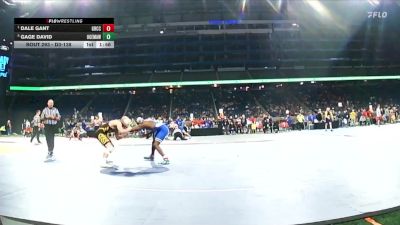 D3-138 lbs Semifinal - Dale Gant, Grand Rapids Catholic Central vs Gage David, Ogemaw Heights