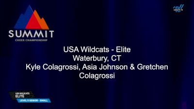 USA Wildcats - ELITE [2025 L5 Senior - Small Prelims] 2025 The Summit