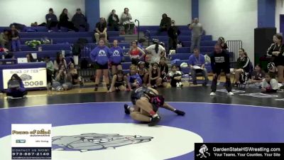 132 lbs Round 2 (4 Team) - Tiana Diaz, Passaic Co Tech-Voc vs Dhriti Patel, Parsippany Hills/Parsippany