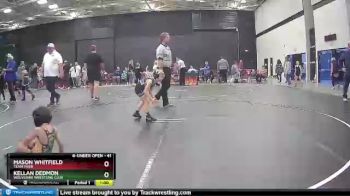 41 lbs Round 5 - Mason Whitfield, Team Tiger vs Kellan Dedmon, Wolverine Wrestling Club