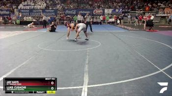 D 2 150 lbs Semifinal - Jay Hays, St. Thomas More vs Luke Cusachs, Archbishop Rummel