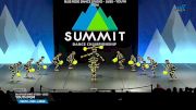 Blue Rose Dance Studio - Lilies - Youth Pom [2025 Youth - Pom - Large Finals] 2025 The Dance Summit