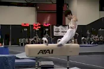 china pommel horse 1