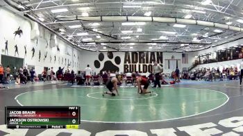 133 lbs Round 4 (6 Team) - Jackson Ostrowski, Adrian vs Jacob Braun, Seton Hill University