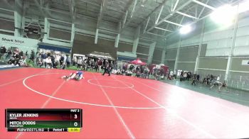 106 lbs Cons. Round 4 - Kyler Jenkins, Delta vs Mitch Dodds, Panguitch